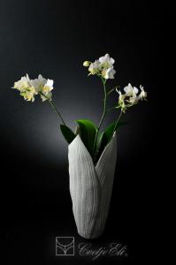 18-posebna ponudba-kostni porcelan